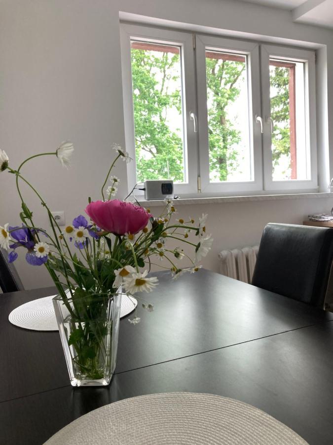 Apartament Karolewo Karolewo  Extérieur photo